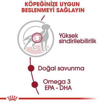 Royal Canin Medium Adult Orta Irk Yetişkin Köpekler İçin Parça Etli Yaş Mama 140 gr X 10 Adet - 5