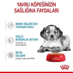 Royal Canin Medium Puppy Orta Irk Yavru Köpekler İçin Parça Etli Konserve Mama 140 gr - 4