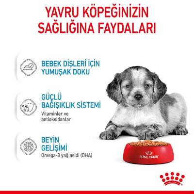 Royal Canin Medium Puppy Orta Irk Yavru Köpekler İçin Parça Etli Konserve Mama 140 gr - 5