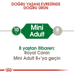 Royal Canin Mini Adult Küçük Irk Yetişkin Köpek Maması 8 kg - 2