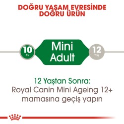 Royal Canin Mini Adult Küçük Irk Yetişkin Köpek Konservesi 85 gr - 2