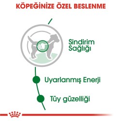 Royal Canin Mini Adult Küçük Irk Yetişkin Köpek Konservesi 85 gr - 3