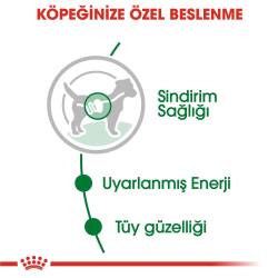 Royal Canin Mini Adult Küçük Irk Yetişkin Köpek Konservesi 85 gr - 3