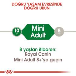 Royal Canin Mini Adult Küçük Irk Yetişkin Köpek Maması 4 kg - 2