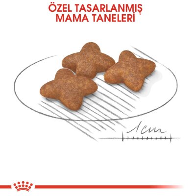 Royal Canin Mini Adult Küçük Irk Yetişkin Köpek Maması 2 kg - 3