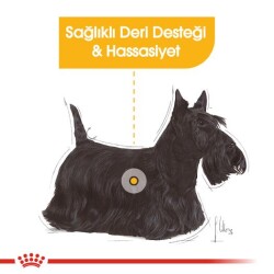 Royal Canin Mini Dermacomfort Deri Hassasiyeti İçin Köpek Maması 3 kg - 2