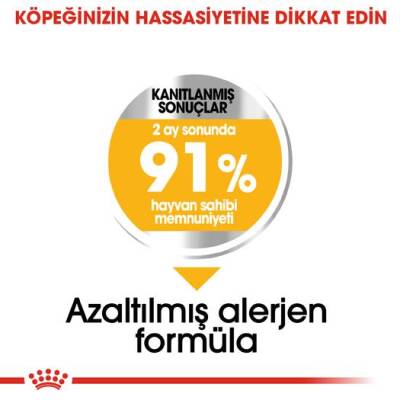 Royal Canin Mini Dermacomfort Deri Hassasiyeti İçin Köpek Maması 3 kg - 3
