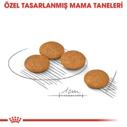 Royal Canin Mini Dermacomfort Deri Hassasiyeti İçin Köpek Maması 3 kg - 4