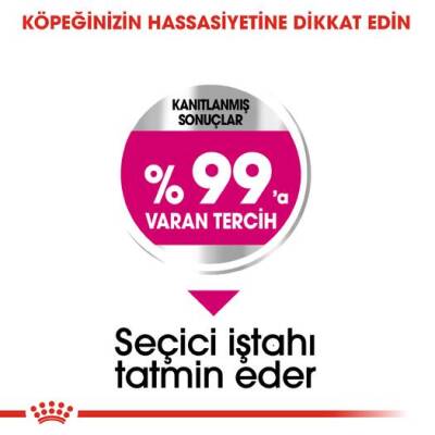Royal Canin Mini Exigent Yetişkin Köpek Maması 3 kg - 3