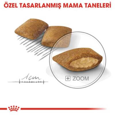 Royal Canin Mini Exigent Yetişkin Köpek Maması 3 kg - 5