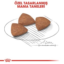 Royal Canin Mini Indoor Yetişkin Köpek Maması 1,5 kg - 3