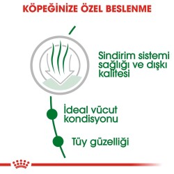 Royal Canin Mini Indoor Yetişkin Köpek Maması 1,5 kg - 2