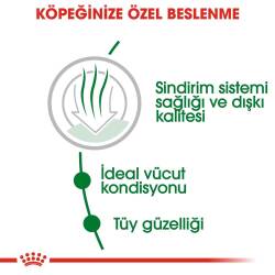 Royal Canin Mini Indoor Yetişkin Köpek Maması 1,5 kg - 2