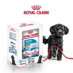Royal Canin Mini Puppy Küçük Irk Yavru Köpek Maması 2 kg + 2 Adet Pouch + Çelik Mama Kabı Hediyeli - Royal Canin