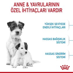 Royal Canin Mini Starter Yavru Köpek Maması 4 kg - 2