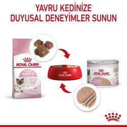 Royal Canin Mother & Baby Cat Instinctive Yavru Kedi Konservesi 195 gr - 4
