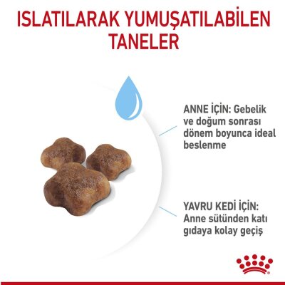 Royal Canin Mother&Baby Cat 34 Anne Ve Yavru Kedi Maması 400 Gr - 6