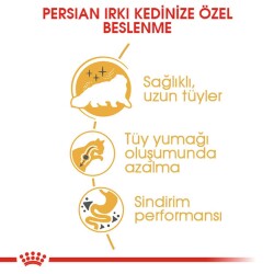 Royal Canin Persian 30 İran Kedilerine Özel Yetişkin Kedi Maması 10 kg - 4
