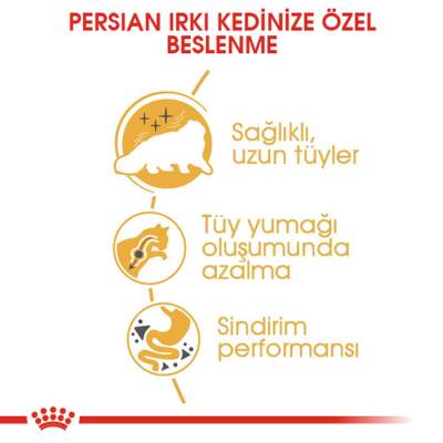 Royal Canin Persian 30 Yetişkin Iran Kedilerine Özel Mama 4 kg - 3