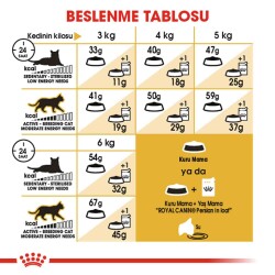 Royal Canin Persian 30 Yetişkin Iran Kedilerine Özel Mama 4 kg - 4