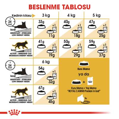 Royal Canin Persian 30 Yetişkin Iran Kedilerine Özel Mama 4 kg - 4
