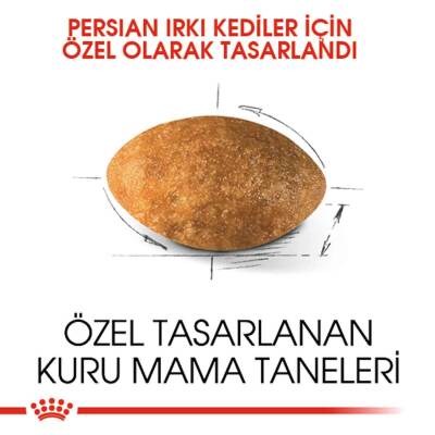 Royal Canin Persian 30 Yetişkin Iran Kedilerine Özel Mama 4 kg - 2