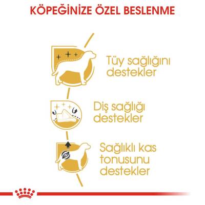 Royal Canin Poodle Yetişkin Köpek Maması 3 kg - 2