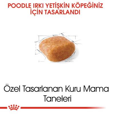Royal Canin Poodle Yetişkin Köpek Maması 3 kg - 3