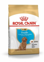 Royal Canin Poodle Yavru Köpek Maması 3 kg