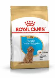 Royal Canin Poodle Yavru Köpek Maması 3 kg - Royal Canin