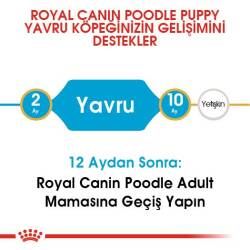 Royal Canin Poodle Yavru Köpek Maması 3 kg - 6