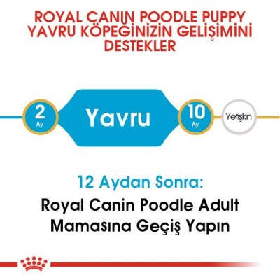 Royal Canin Poodle Yavru Köpek Maması 3 kg - 6