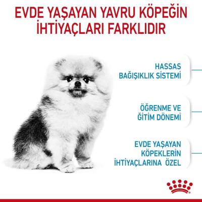 Royal Canin Puppy Mini Indoor Tavuklu Yavru Köpek Maması 1,5 kg - 2