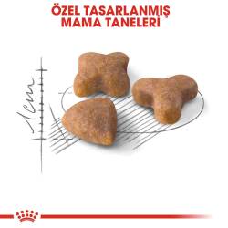 Royal Canin Sensible 33 Hassas Sindirimi Olan Kediler İçin Mama 2 kg - 4