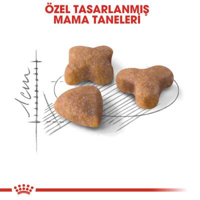 Royal Canin Sensible 33 Hassas Sindirimi Olan Kediler İçin Mama 400 gr - 4