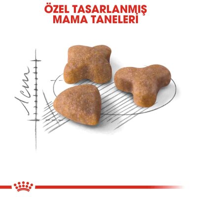 Royal Canin Sensible 33 Hassas Sindirimi Olan Kediler İçin Mama 400 gr - 4
