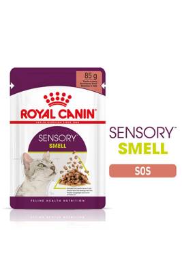 Royal Canin Sensory Smell Gravy Balıklı Yetişkin Kedi Konservesi 85 Gr X 12 Adet - 2