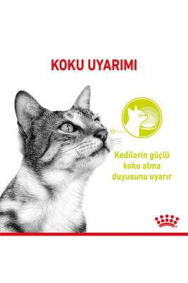 Royal Canin Sensory Smell Gravy Balıklı Yetişkin Kedi Konservesi 85 Gr X 12 Adet - 3