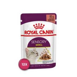 Royal Canin Sensory Smell Gravy Balıklı Yetişkin Kedi Konservesi 85 Gr X 12 Adet - Royal Canin