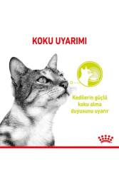 Royal Canin Sensory Smell Gravy Balıklı Yetişkin Kedi Konservesi 85 Gr X 12 Adet - 2