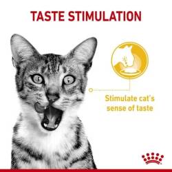 Royal Canin Sensory Taste Pouch Yetişkin Konserve Kedi Maması 85 Gr - 2
