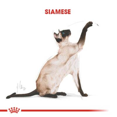 Royal Canin Siamese 38 Siyam Kedisine Özel Yetişkin Kedi Maması 2 kg - 3