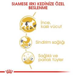 Royal Canin Siamese 38 Siyam Kedisine Özel Yetişkin Kedi Maması 2 kg - 5