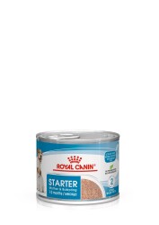 Royal Canin Starter Mousse Mother & Babydog Yavru Köpek Konservesi 195 gr - Royal Canin
