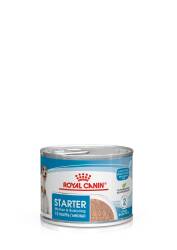 Royal Canin Starter Mousse Mother & Babydog Yavru Köpek Konservesi 195 gr