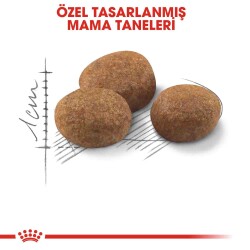 Royal Canin Sterilised +7 Kısırlaştırılmış Yaşlı Kedi Maması 1,5 kg - 5