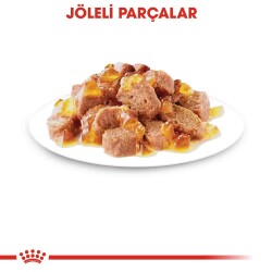 Royal Canin Sterilised In Jelly Kısırlaştırılmış Kediler İçin Konserve 85 gr - 3