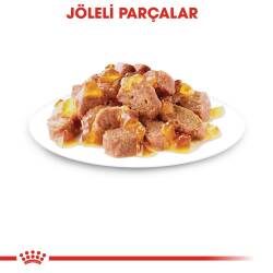 Royal Canin Sterilised In Jelly Kısırlaştırılmış Kediler İçin Konserve 85 gr X 12 Adet - 4
