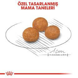 Royal Canin XS Adult Küçük Irk Yetişkin Köpek Maması 1,5 kg - 4