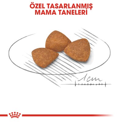 Royal Canin XS Ageing +12 Küçük Irk Yaşlı Köpek Maması 1,5 kg - 5